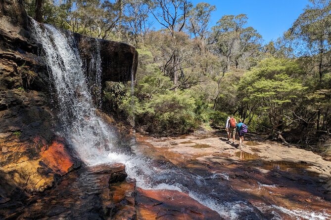 Wilderness, Waterfalls, Three Sisters BLUE MOUNTAINS PRIVATE TOUR - Echo Point and the Three Sisters: Where the Photos Actually Come From