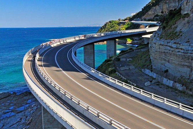Wildlife, Wine & Waves – Epic South Coast Adventure from Sydney - Key things that make this tour worth your time