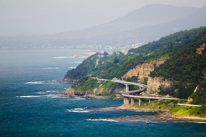 Wildlife, Wine & Waves – Epic South Coast Adventure from Sydney - Private comfort with two itinerary directions
