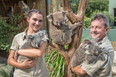 Wildlife, Wine & Waves – Epic South Coast Adventure from Sydney - Bare Island and Le Perouse: where the story starts
