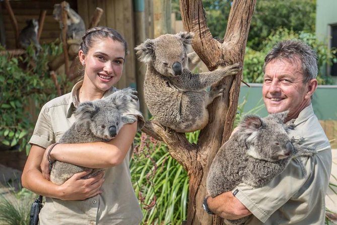 Wildlife, Wine & Waves – Epic South Coast Adventure from Sydney - Bare Island and Le Perouse: where the story starts