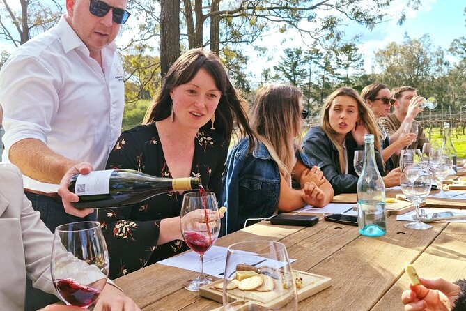 Wine & Cheese Tasting Experience in Hunter Valley - Wine lineup: what you’ll taste and how to not feel clueless