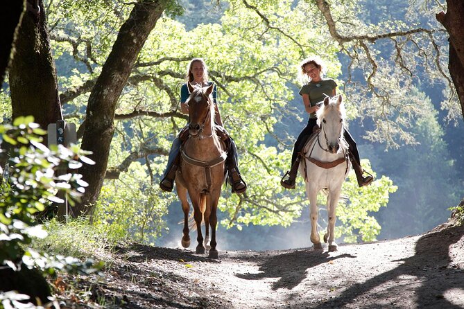 Wine Tours Sydney - Southern Highlands Day Escape, Full Day Wine Tasting Tour - Bendooley Estate Book Barn: a memorable cellar door finale